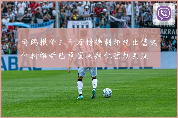 海鸥报价三千万镑热刺拒绝出售武什科维奇巴萨国米拜仁密切关注