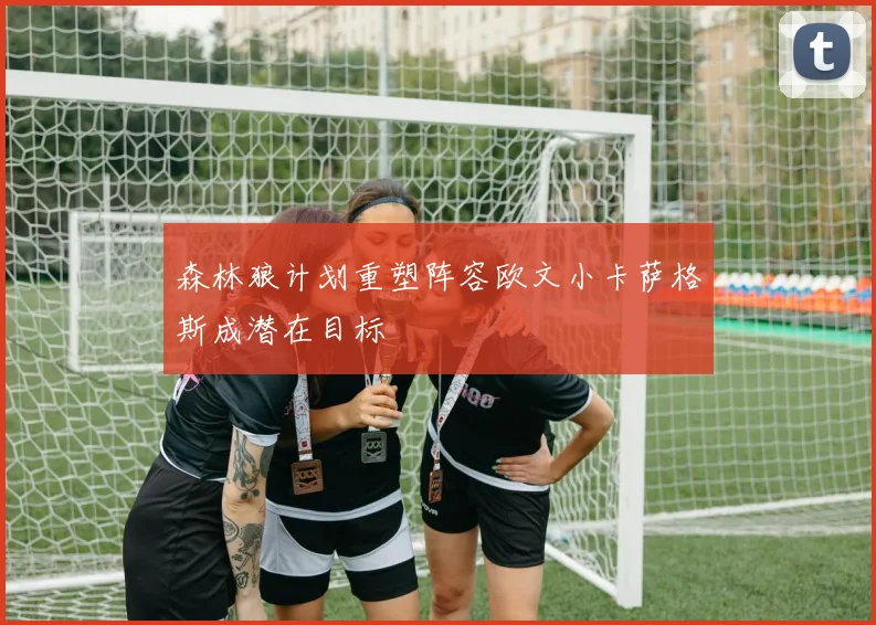 森林狼计划重塑阵容欧文小卡萨格斯成潜在目标